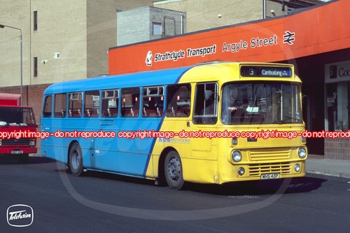 Bus photo kelvin central - kelvin,