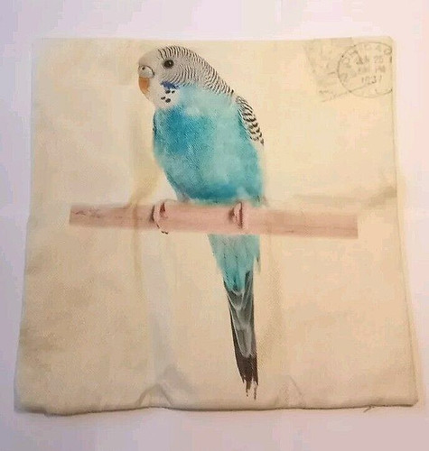 Budgie budgerigar cushion - budgerigar,