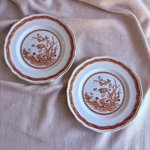 Antique furnivals quail - antique,