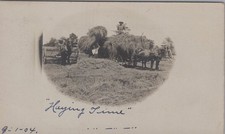 Haying Time 1910s Draft Horses