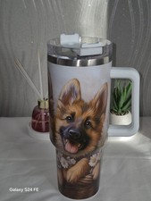 Beautiful 40z German Shepherd