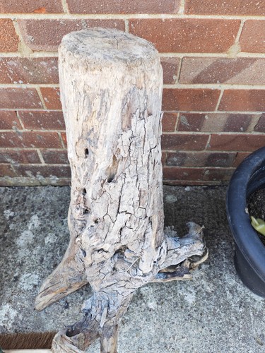 Heavy hard bogwood for fish - xl,