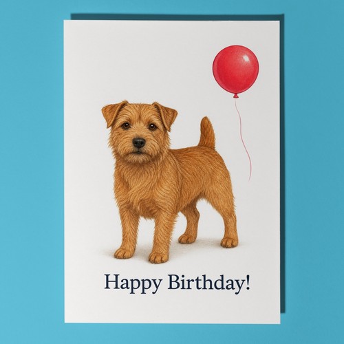 Norfolk terrier personalised - norfolk,