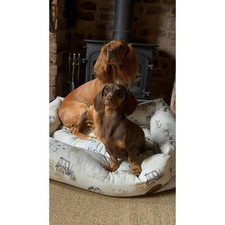 Snug & Cosy Farmyard Cream Rectangle Dog Bed 64cm Comfortable Washable