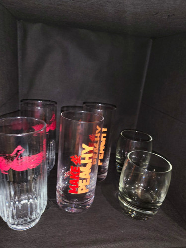 6pc drinking glasses grouse - 6pc,