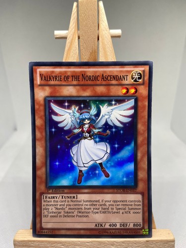 Valkyrie the nordic - valkyrie, of