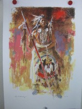 Roy andersen buffalo medicine - andersen,