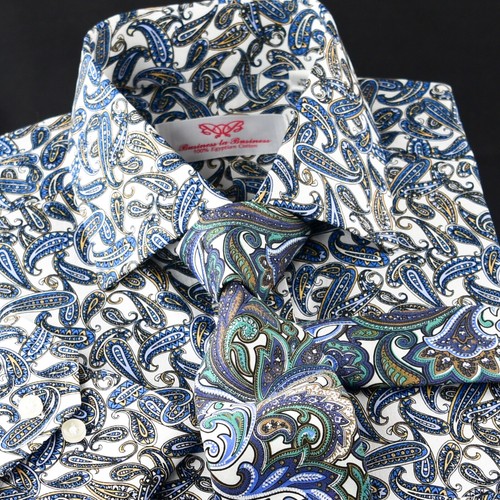 Paisley printed designed - paisley,