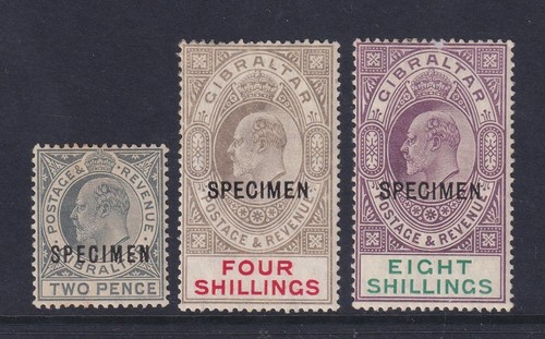 Gibraltar edvii 1906 - edvii, specimen