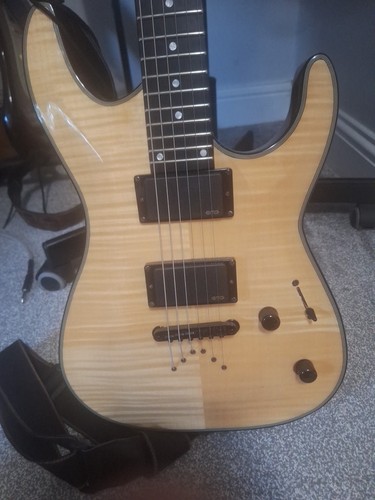 Dean custom 450 2010s - 450,