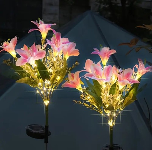 Pack pink solar lily - pink,