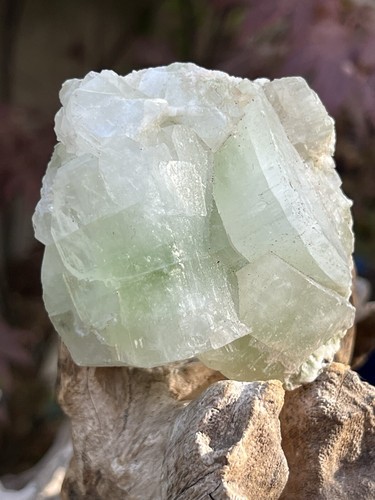 Green multi cubic apophyllite - multi,