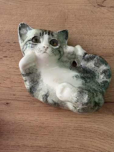 Winstanley grey tabby cat - winstanley,