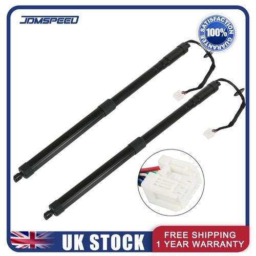 Electric tailgate boot - tailgate, strut