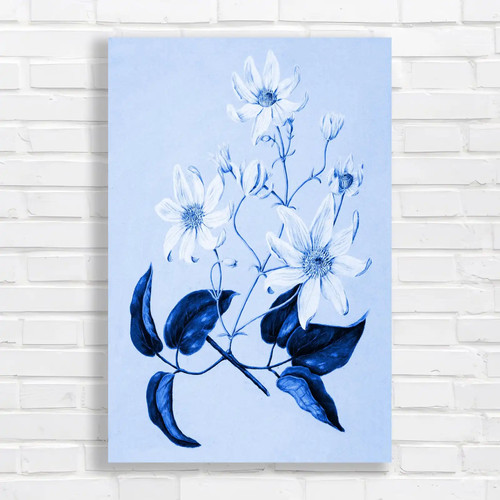 Elegant white flower - elegant, blue