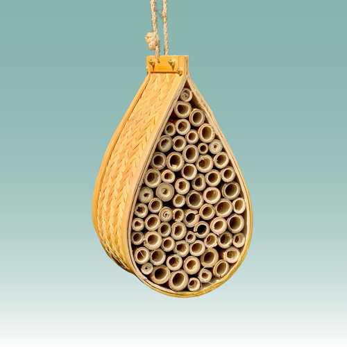 Mason bee solitary - bee,