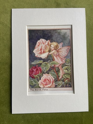 Rose flower fairy - ‘rose’,