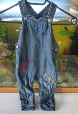 Baby Boys Blue Denim Dungarees