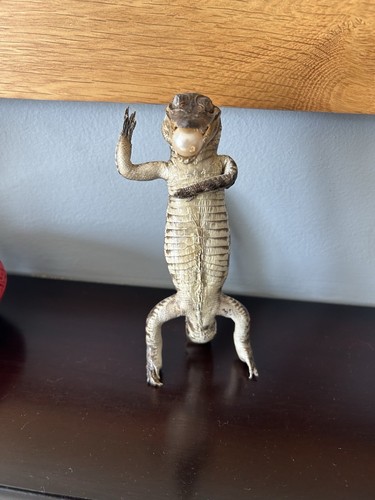Aligator taxidermy - aligator, taxidermy.