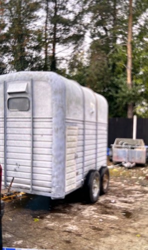 Rice horse box trailer for - box,