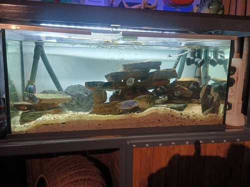 4ft fish tank - 4ft,