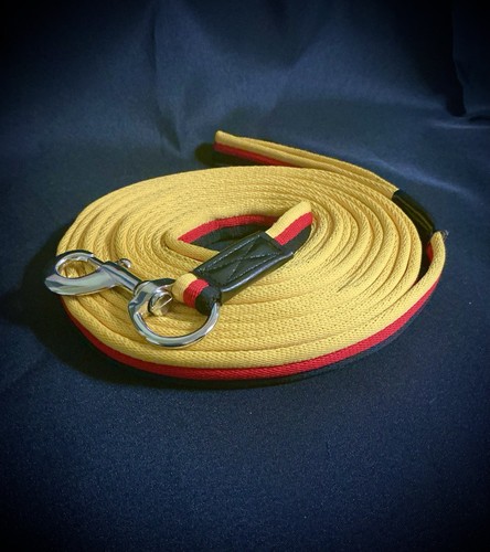 Lunge line horse - lunge,