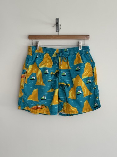 Vilebrequin swimming shorts - swimming,