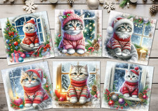 Cute kittens knitwear - cute,
