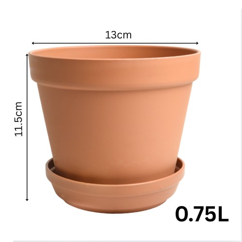 Terracotta flower pot planter - flower,