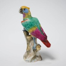 Dresden Multicolored Parrot