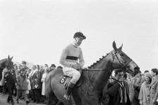 Cheltenham gold cup 1965 - gold, arkle