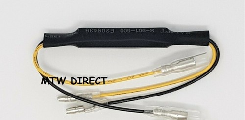 Indicator resistor - r&g,