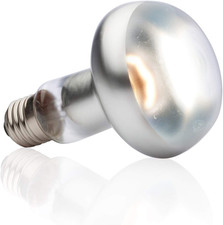 Exo Terra Intense Basking Spot