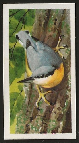 Brooke bond bird - brooke, (tea)-bird