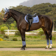 IT08285 LeMieux Loire Classic