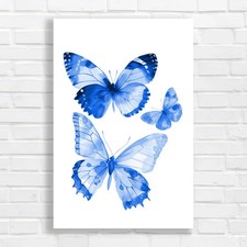 Delicate Butterfly Canvas