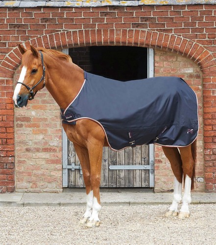 Premier equine horse walker - equine,