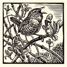 Wren British Garden Bird - Fine Art Blank Greeting / Birthday Card Bird Linocut