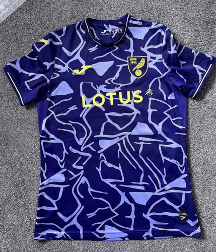 Norwich city football club - city,