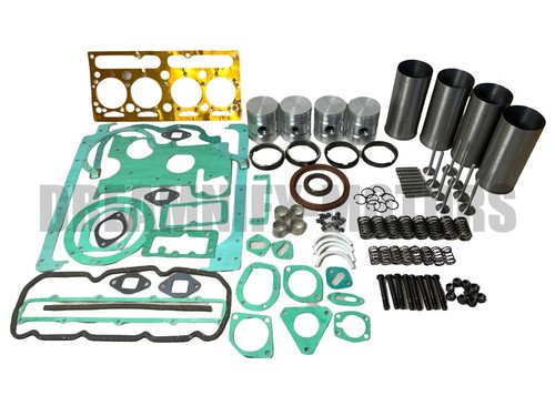 Engine rebuild kit valves - engine,