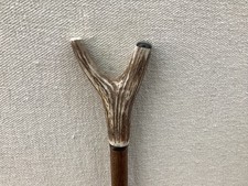 Red Deer Antler Walking Hazel