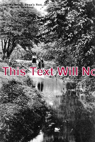 117 the waterfall swans - lc,