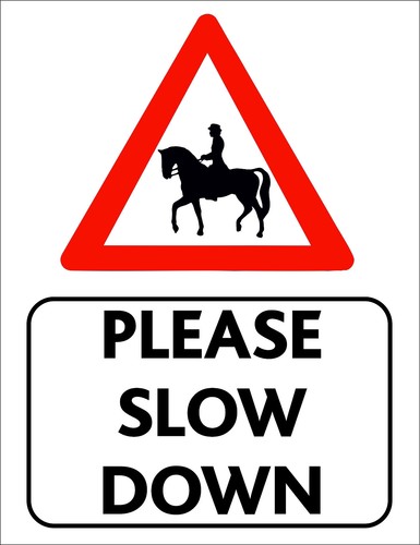 Please slow down horse riding - please,