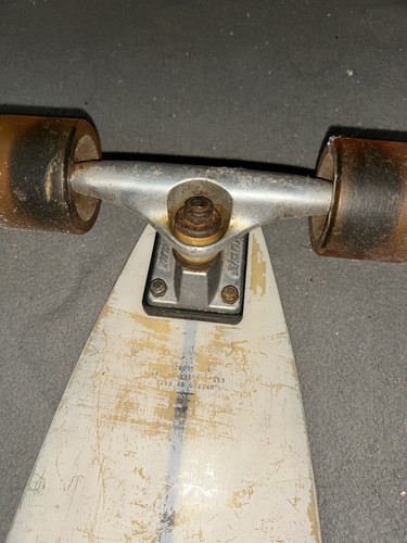 Rare globe pintail - (used)rare,