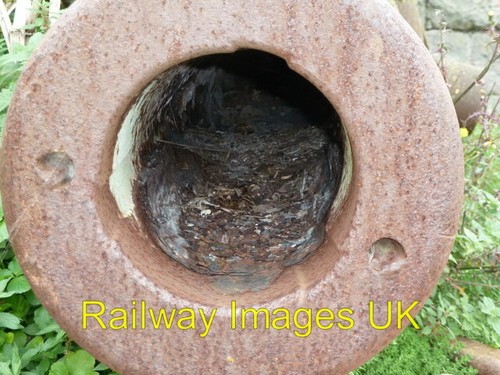 Photo rifled muzzle loading - -,