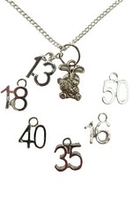 SILVER NECKLACE CARROT BUNNY Rabbit Charm Pendant Birthday Anniversary Gift +Bag