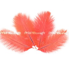 Coral Natural Genuine Ostrich Feather Fluffy Costume Craft Party Decor