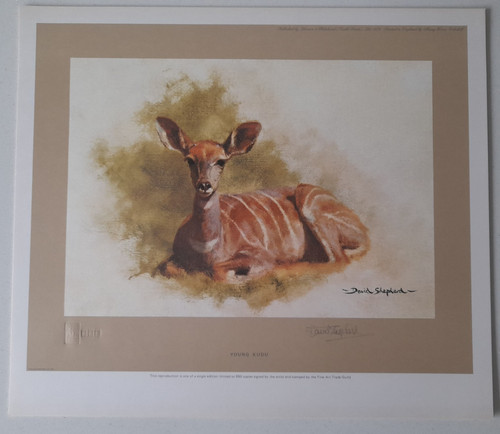 David shepherd young kudo - shepherd, kudo'
