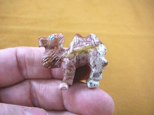 Camel camels desert - camel,