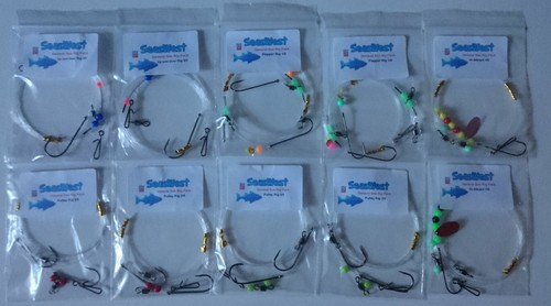 General shore sea fishing - fishing, pack